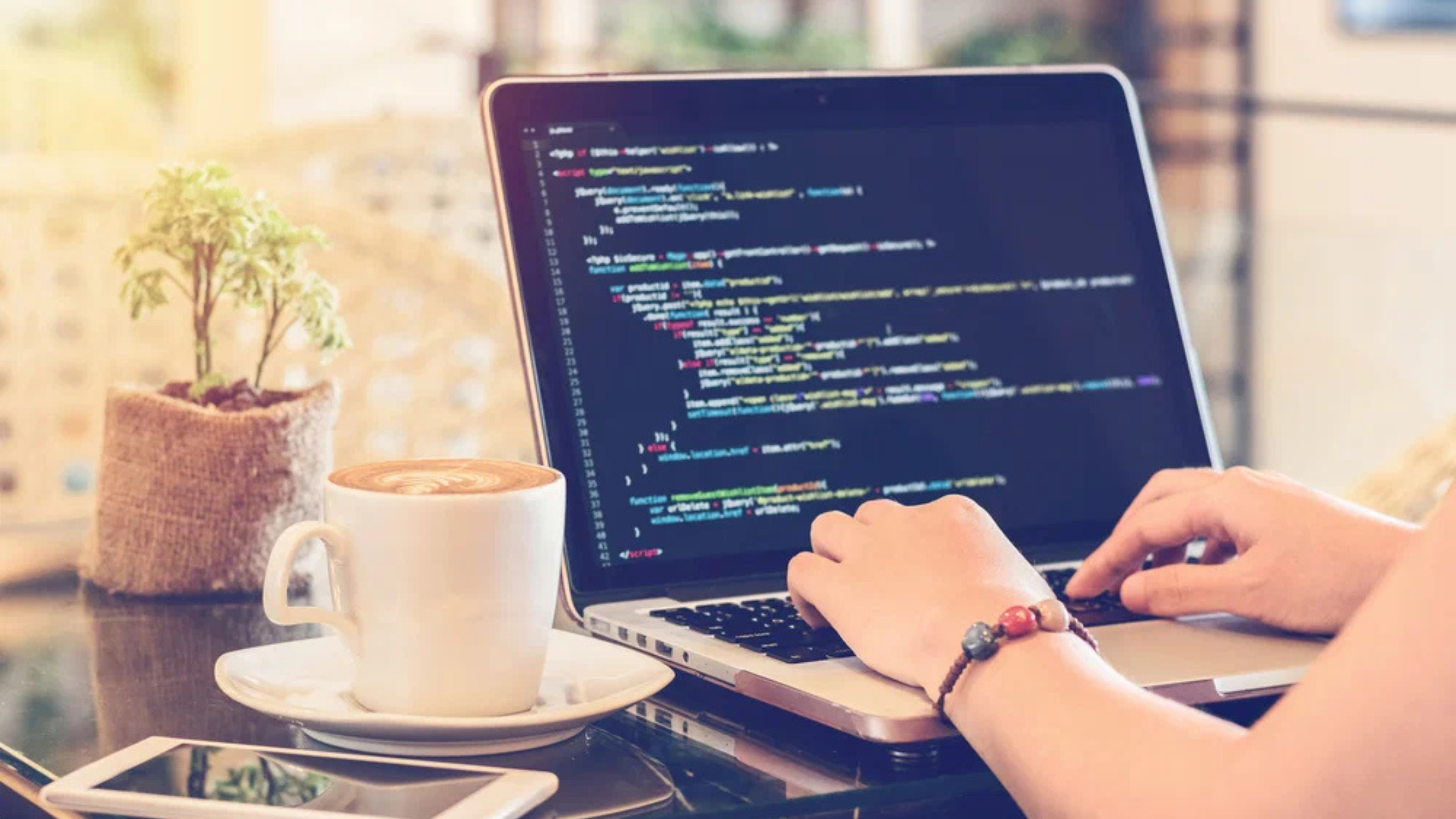 web development company in Calicut